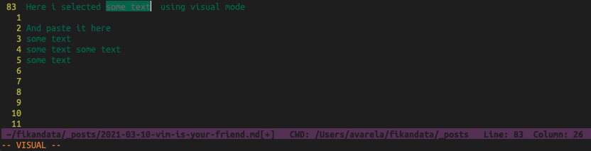 VIM visual mode